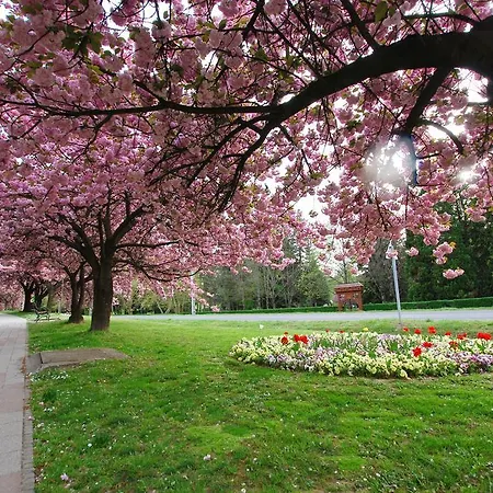 Aurora Haz Zalakaros