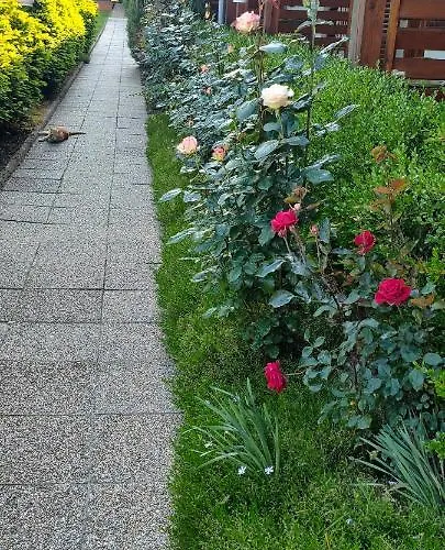 Aurora Haz * Zalakaros