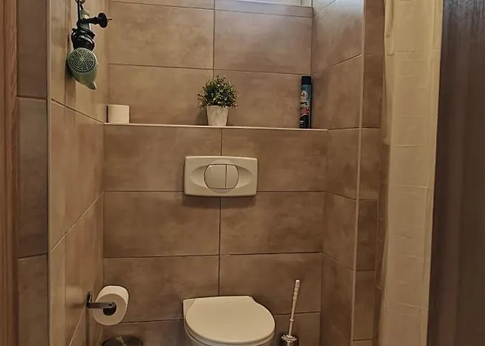 Apartament Aurora Haz *