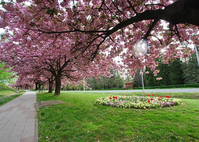 Aurora Haz Zalakaros